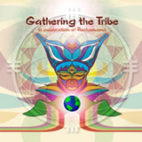 gathering the tribe